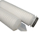 Système de filtration plissé en polyester pour le traitement de l'eau Ro avec un diamètre extérieur de 68,5 mm