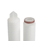 Taux de débit 1-1,2 m3/h Cartouche de filtre plissé en polyester pour applications lourdes