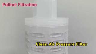 Cartouche filtrante plissée en PTFE de 30 pouces pour la pression de l'air
