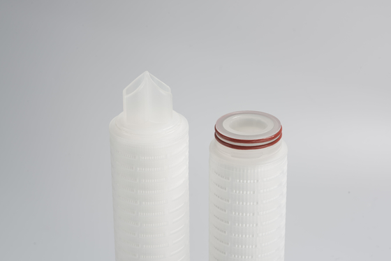 Double cartouche filtrante à membrane PES de 0,22 microns pour la filtration de l'industrie des boissons alimentaires