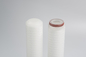 Double cartouche filtrante à membrane PES de 0,22 microns pour la filtration de l'industrie des boissons alimentaires