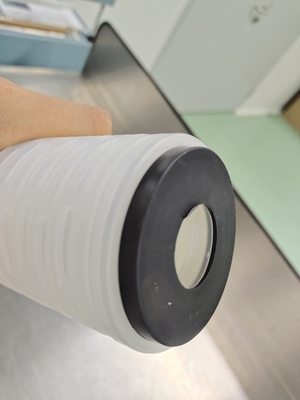 Filtre à plis en polypropylène de 0,22um efficace pour les systèmes de filtration industriels