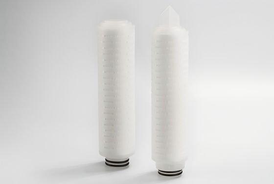 PTFE Membrane Filter Cartridge with Hydrophobic and Hydrophilic PTFE Membrane for Corrosion Resistant Filtration